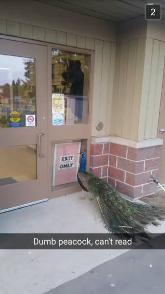 morning picdump 52 pics 3.html - 52 HD Photos | Premium Gallery 2016