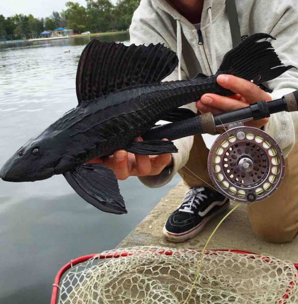 morning picdump 52 pics 3.html - 52 HD Photos | Premium Gallery 2016