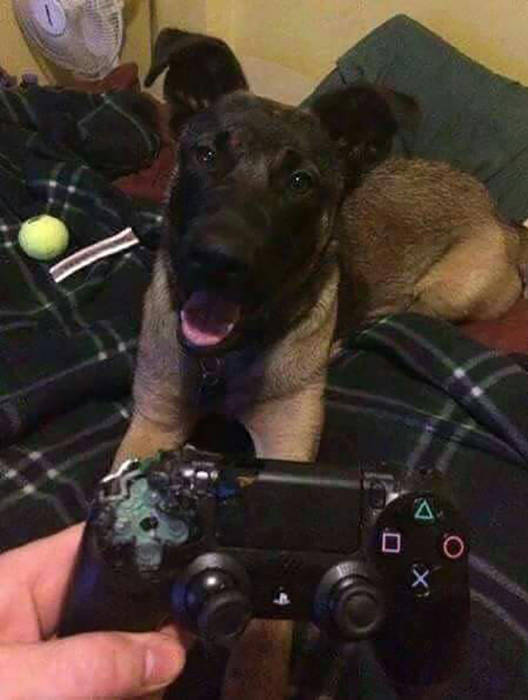 morning picdump 52 pics 3.html - 52 HD Photos | Premium Gallery 2016