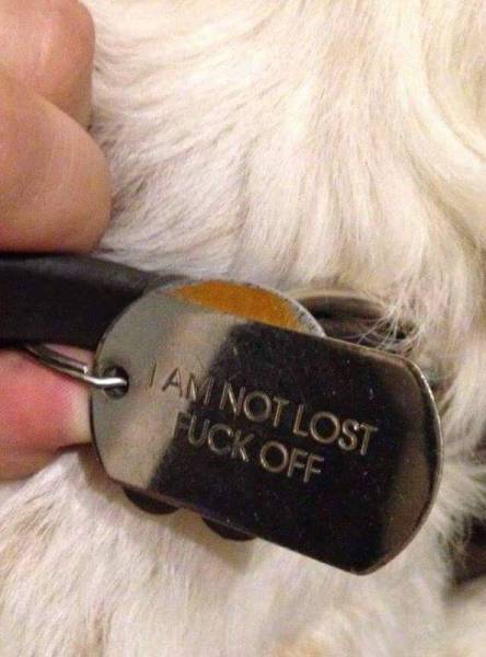 Morning Picdump