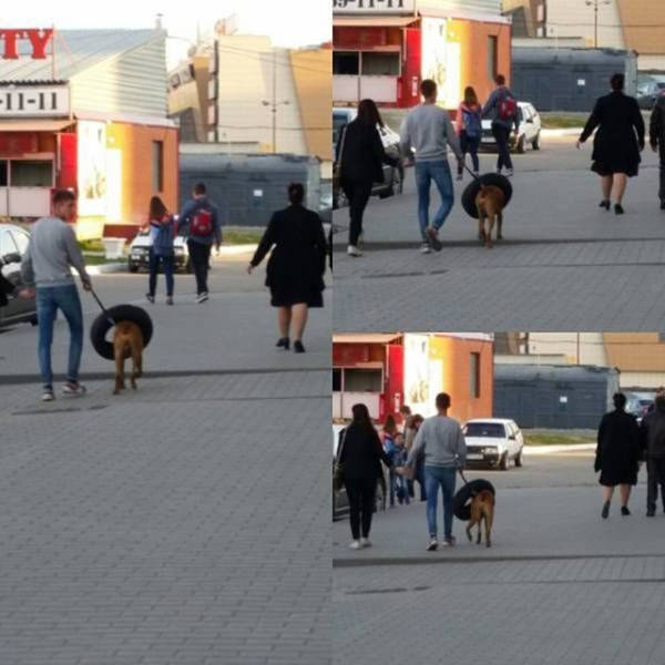 Morning Picdump