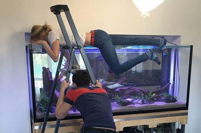 Morning Picdump