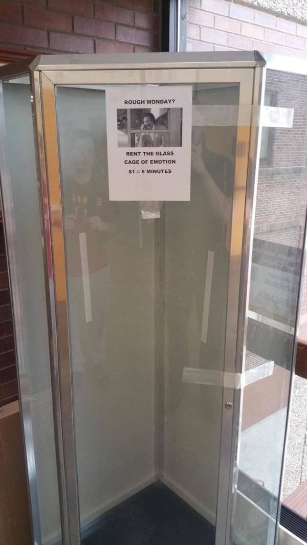 Morning Picdump