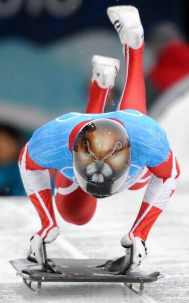 Morning Picdump