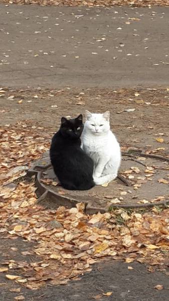 Morning Picdump