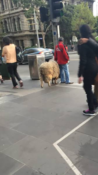 morning picdump 54 pics 5.html - 54 HD Photos | Premium Gallery 2016