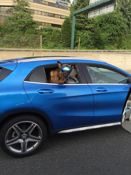 morning picdump 54 pics 5.html - 54 HD Photos | Premium Gallery 2016