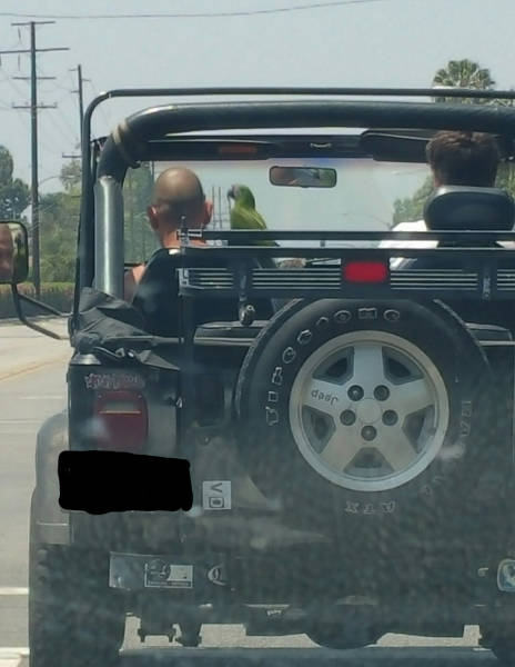 morning picdump 54 pics 5.html - 54 HD Photos | Premium Gallery 2016