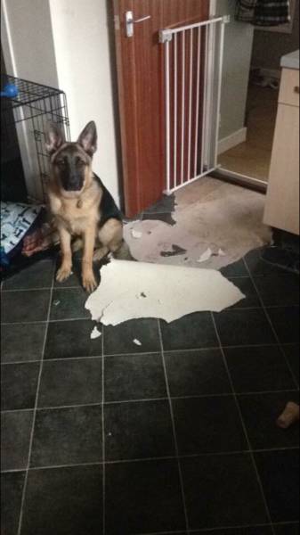 morning picdump 54 pics 5.html - 54 HD Photos | Premium Gallery 2016