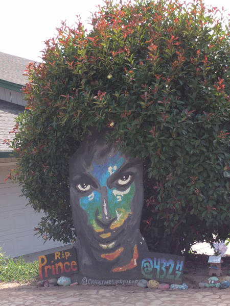 morning picdump 54 pics 5.html - 54 HD Photos | Premium Gallery 2016