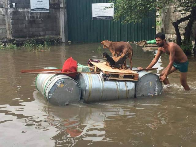 morning picdump 54 pics 5.html - 54 HD Photos | Premium Gallery 2016