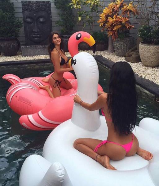 grownup corner 57 pics 15 gifs 31.html - 57 HD GIF | Premium Gallery 2016