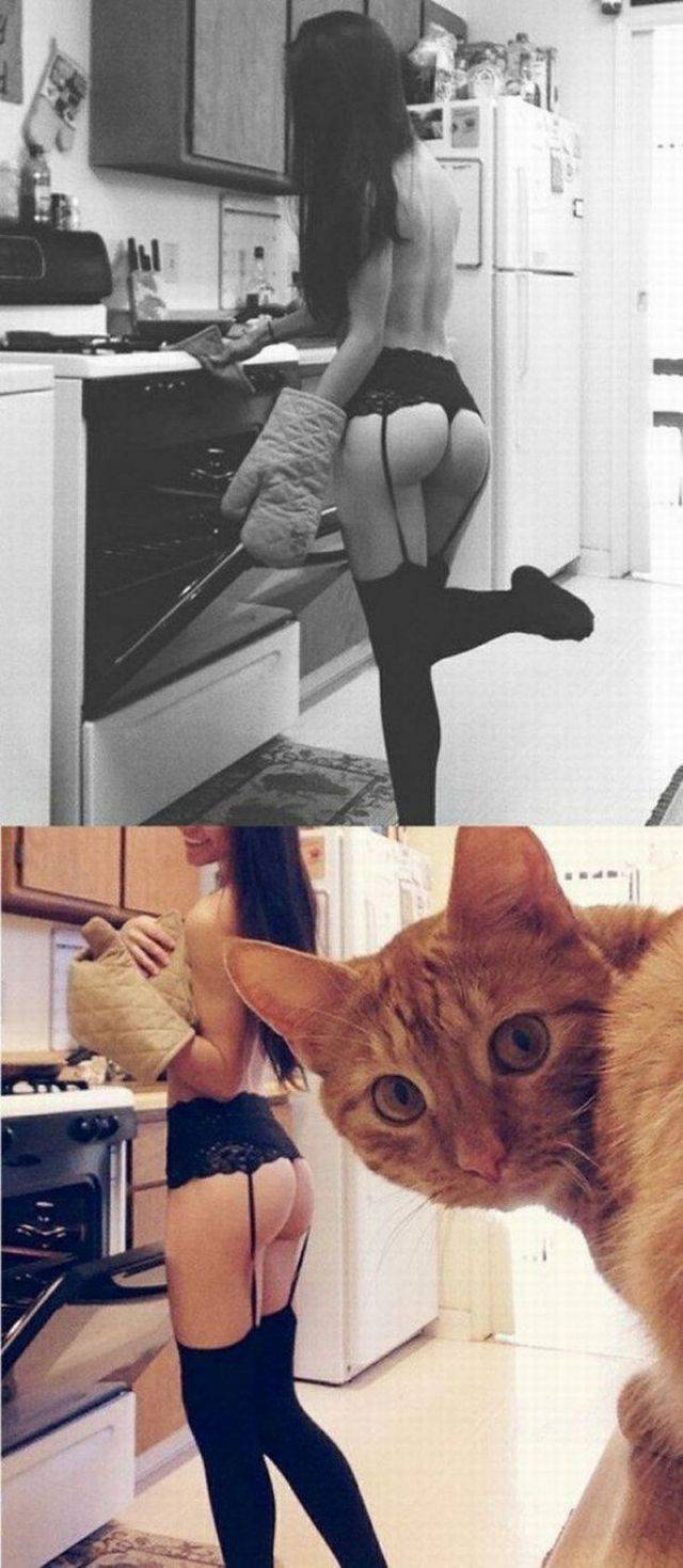 grownup corner 57 pics 15 gifs 31.html - 57 HD GIF | Premium Gallery 2016