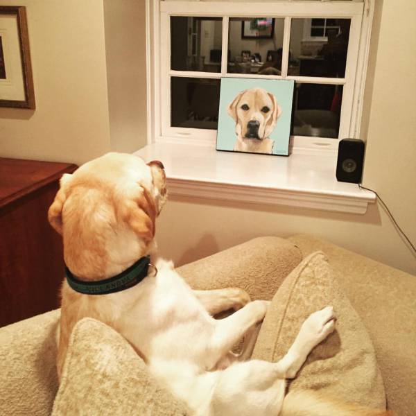 morning picdump 53 pics 19.html - 53 HD Photos | Premium Gallery 2016