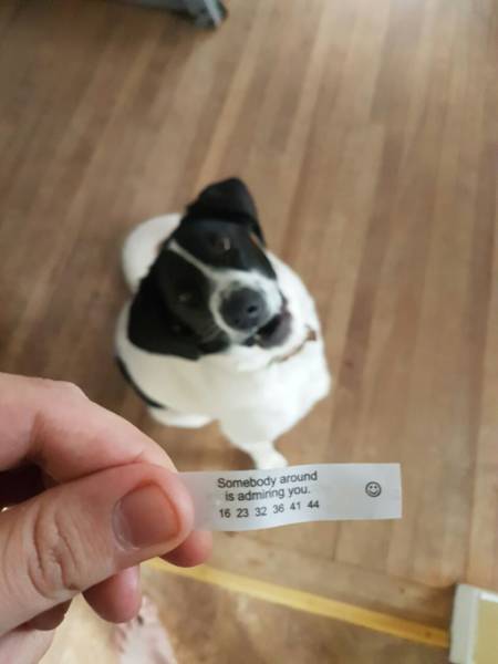 morning picdump 53 pics 19.html - 53 HD Photos | Premium Gallery 2016