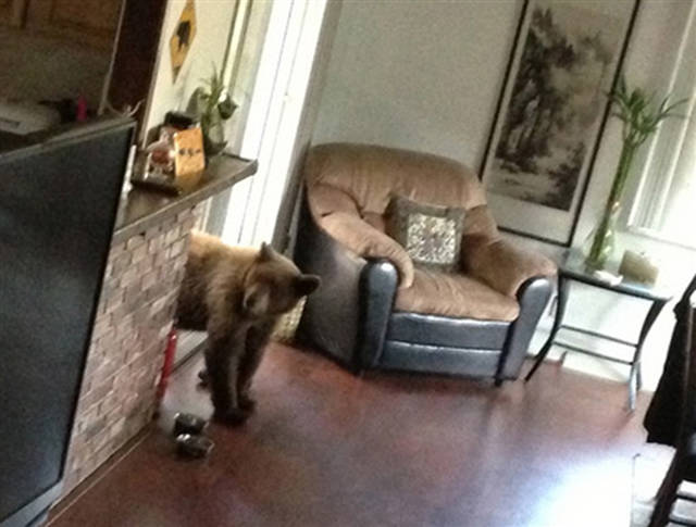 morning picdump 53 pics 19.html - 53 HD Photos | Premium Gallery 2016