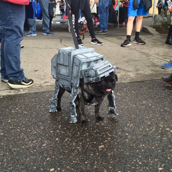 Morning Picdump