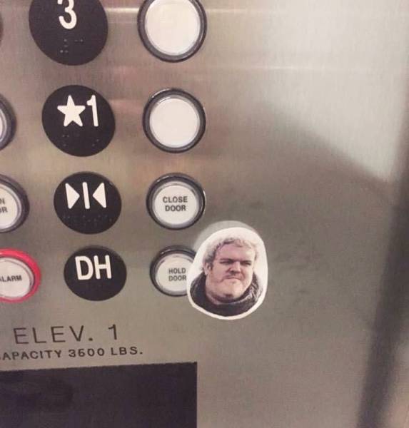 Morning Picdump
