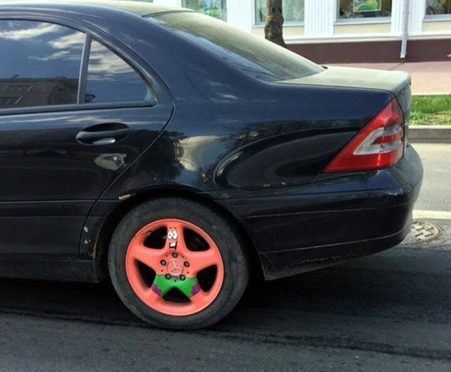 Morning Picdump