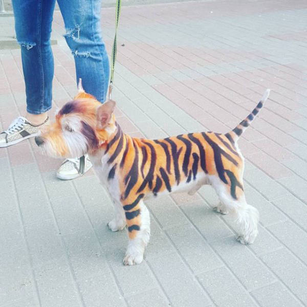 Morning Picdump