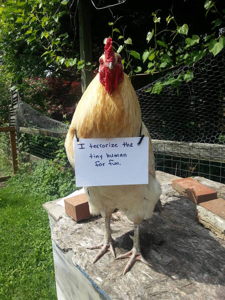 Morning Picdump