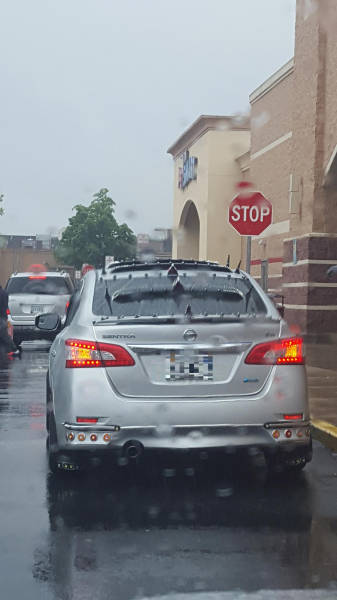 morning picdump 52 pics 7.html - 52 HD Photos | Premium Gallery 2016