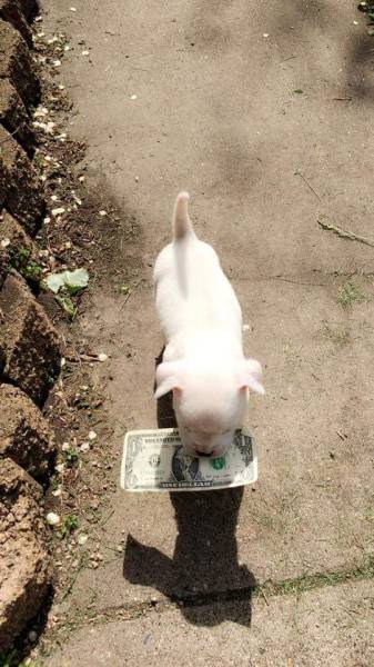 morning picdump 52 pics 7.html - 52 HD Photos | Premium Gallery 2016