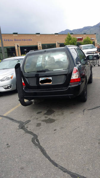 morning picdump 50 pics 17.html - 50 HD Photos | Premium Gallery 2016