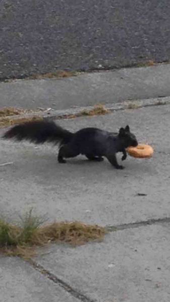 morning picdump 50 pics 17.html - 50 HD Photos | Premium Gallery 2016