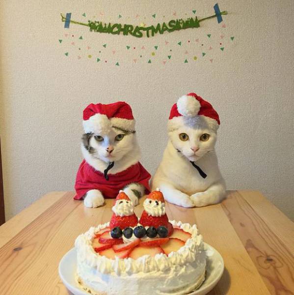 morning picdump 50 pics 17.html - 50 HD Photos | Premium Gallery 2016