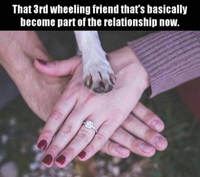 funny picdump 51 pics 17.html - 51 HD Photos | Premium Gallery 2016