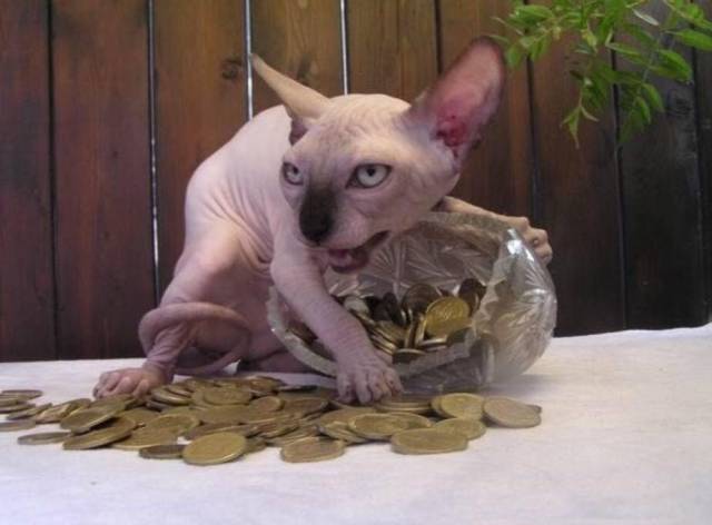 morning picdump 51 pics 20.html - 51 HD Photos | Premium Gallery 2016