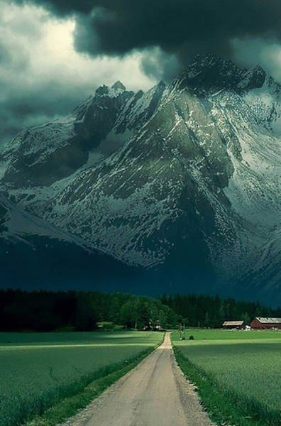 Fascinating Photos That Speak For Themselves