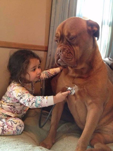Fascinating Photos That Speak For Themselves