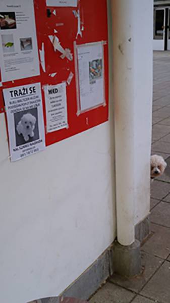 morning picdump 50 pics 25.html - 50 HD Photos | Premium Gallery 2016