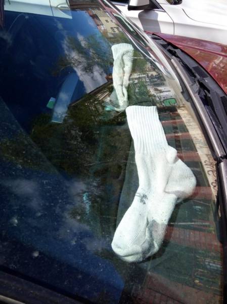 morning picdump 50 pics 25.html - 50 HD Photos | Premium Gallery 2016