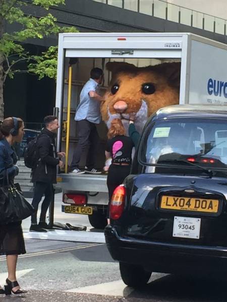 morning picdump 50 pics 25.html - 50 HD Photos | Premium Gallery 2016