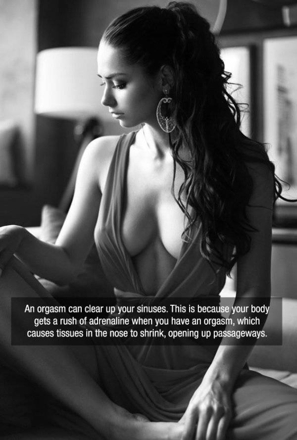 Facts are Best Served with Hot Girls