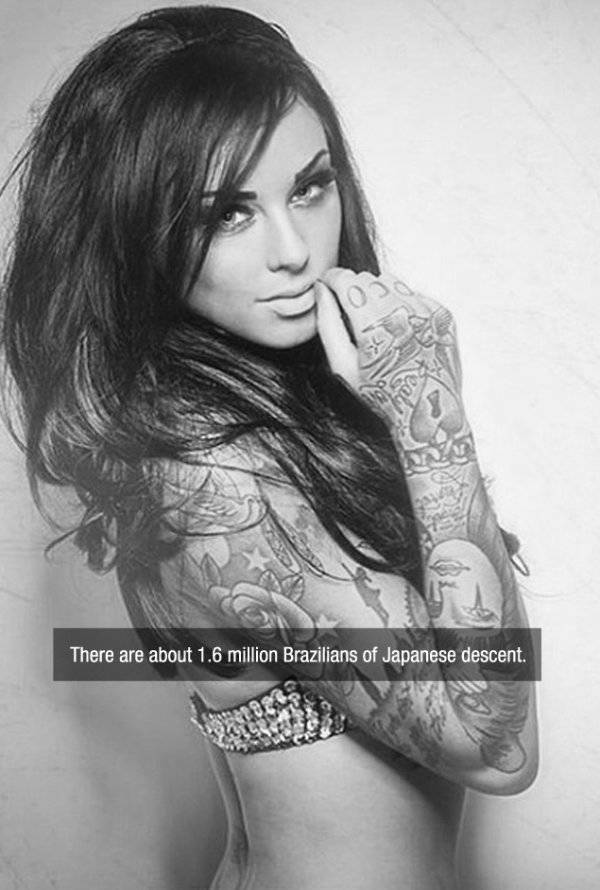 Facts are Best Served with Hot Girls