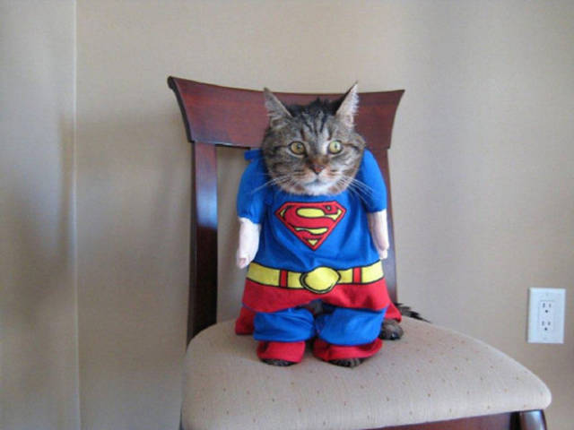 morning picdump 56 pics 2.html - 56 HD Photos | Premium Gallery 2016