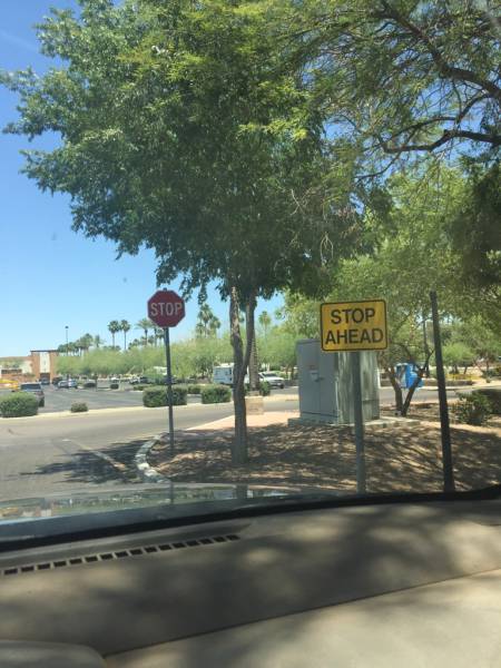 morning picdump 56 pics 2.html - 56 HD Photos | Premium Gallery 2016