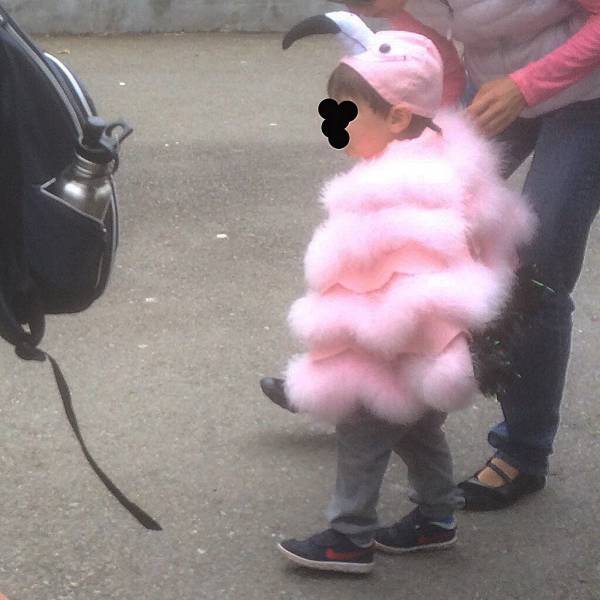 morning picdump 56 pics 2.html - 56 HD Photos | Premium Gallery 2016