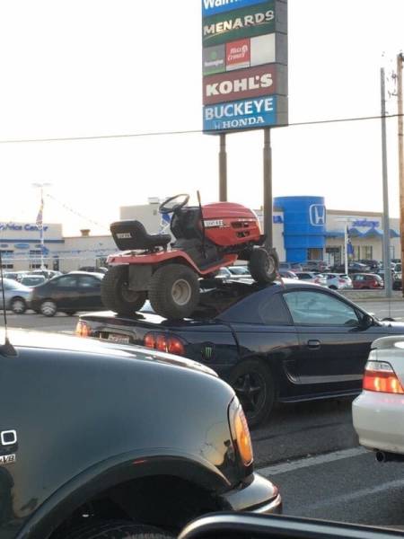 morning picdump 50 pics 18.html - 50 HD Photos | Premium Gallery 2016