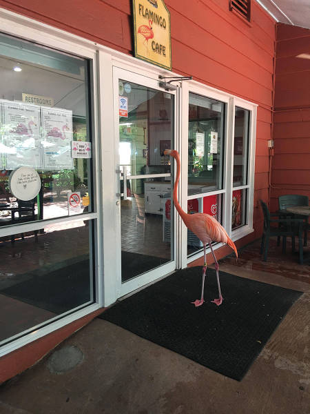 morning picdump 51 pics 2.html - 51 HD Photos | Premium Gallery 2016