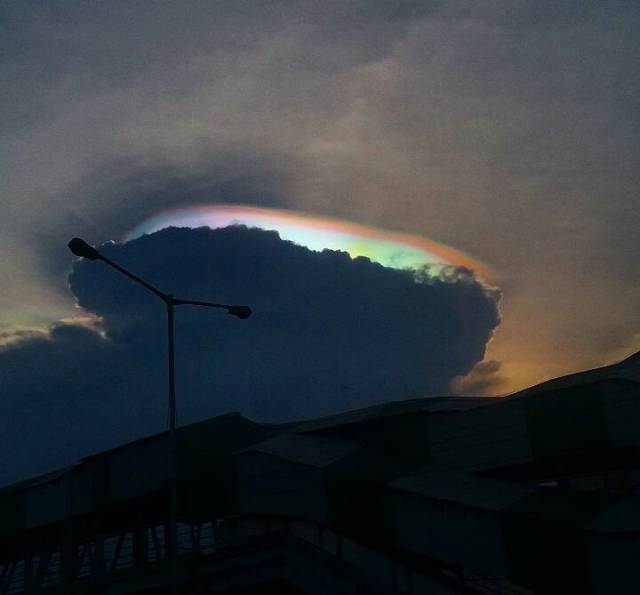 morning picdump 51 pics 2.html - 51 HD Photos | Premium Gallery 2016