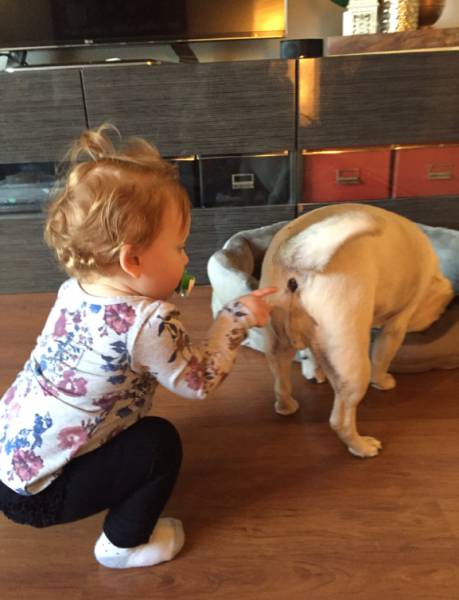 morning picdump 51 pics 2.html - 51 HD Photos | Premium Gallery 2016