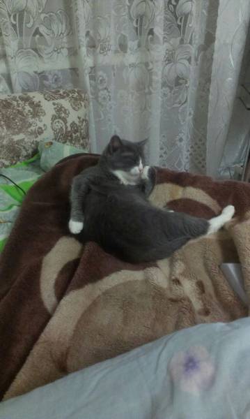 morning picdump 50 pics 3.html - 50 HD Photos | Premium Gallery 2016