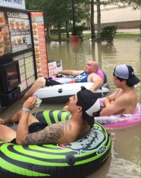 Morning Picdump