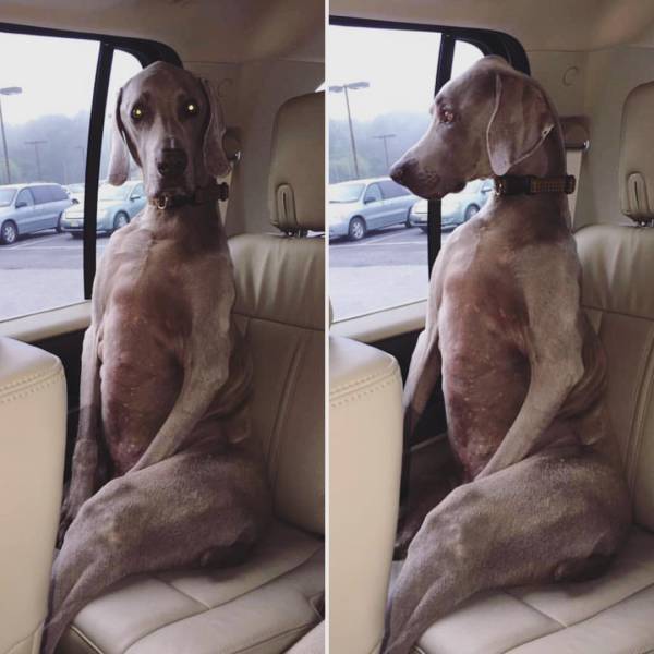 Morning Picdump