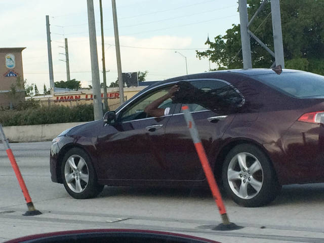 Morning Picdump